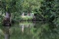 (19) Le Marais Poitevin